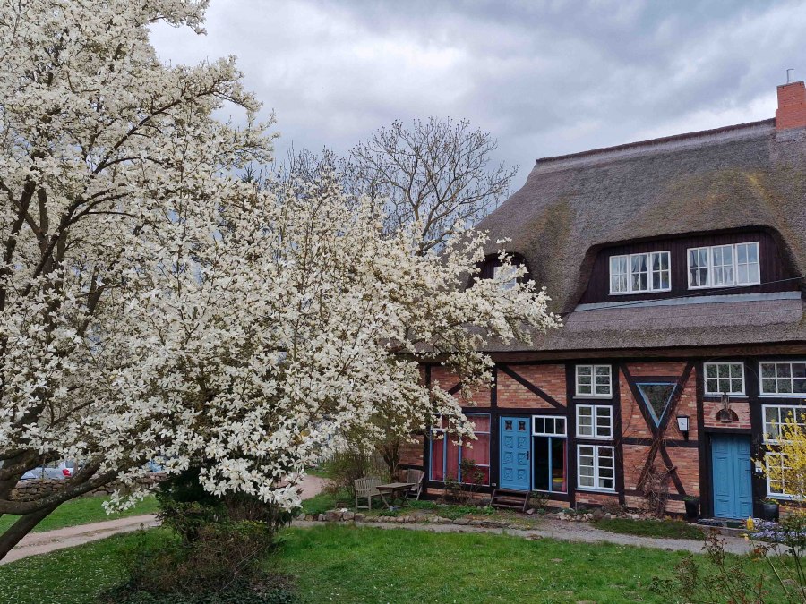 Kessin vicarage, © Martin Goffing