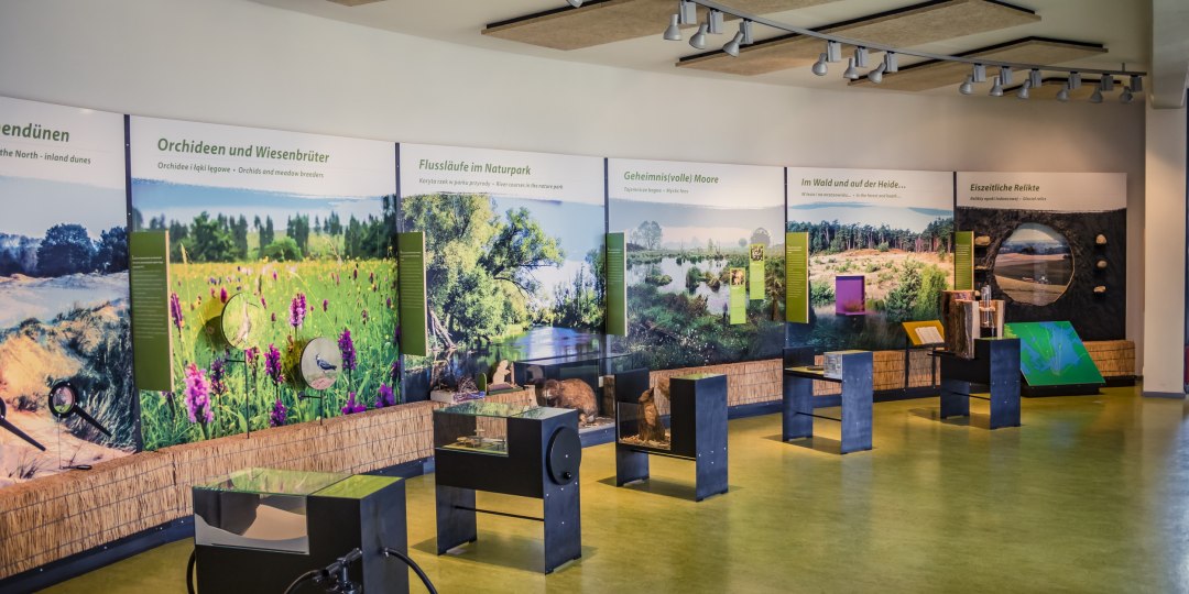 Natuurpark Am Stettiner Haff - Tentoonstellingszalen, © tvv/Philipp Schulz Natuurpark Am Stettiner Haff - Tentoonstellingszalen, © tvv/Philipp Schulz