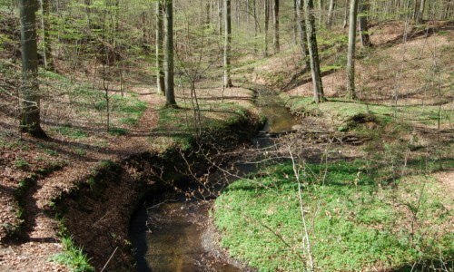 Klaasbachtal ©Naturpark Sternberger Seenland // © Naturpark Sternberger Seenland Klaasbachtal ©Naturpark Sternberger Seenland // © Naturpark Sternberger Seenland