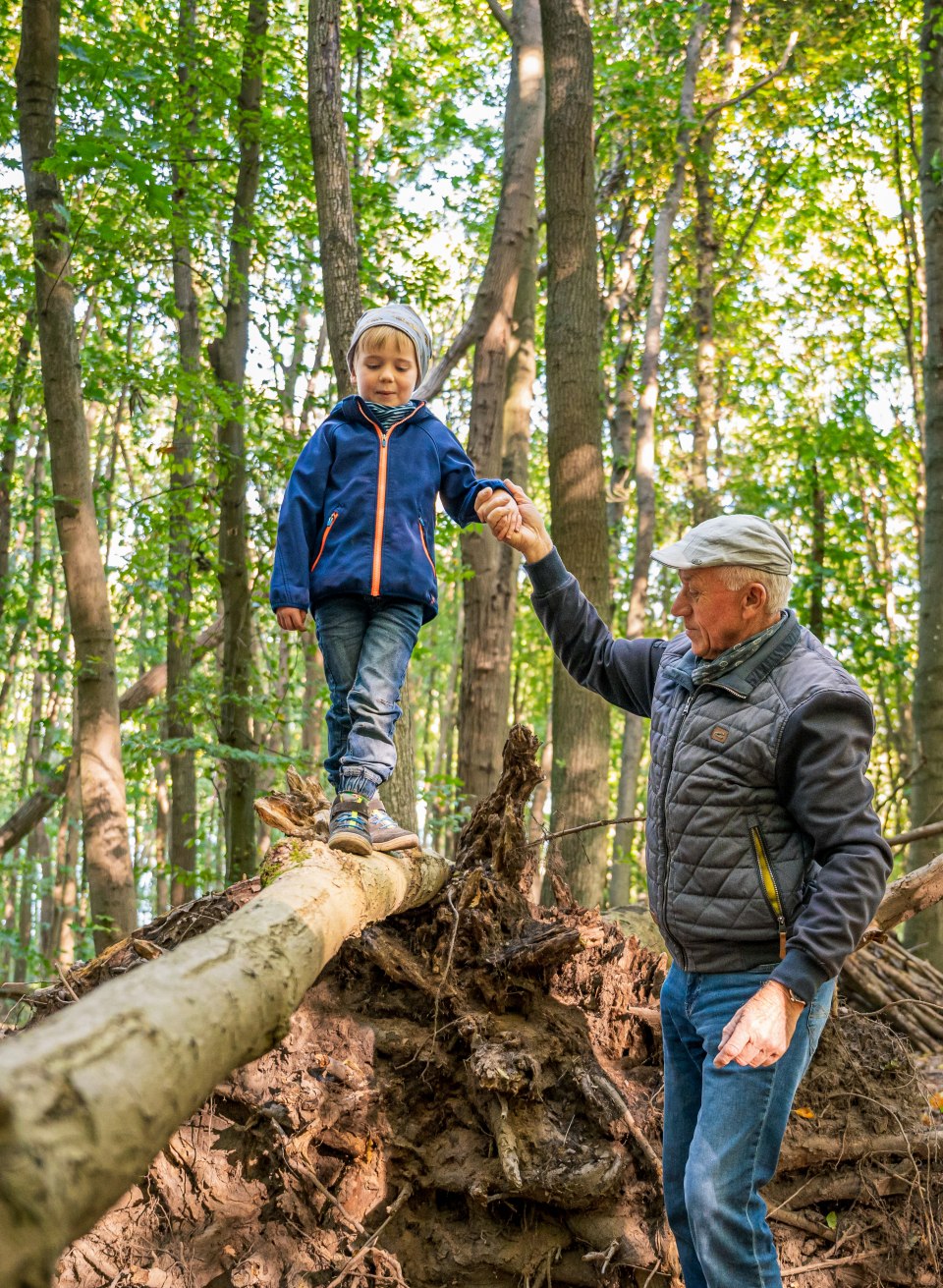 Grandpa holds his grandson, who is balancing on a fallen tree trunk.