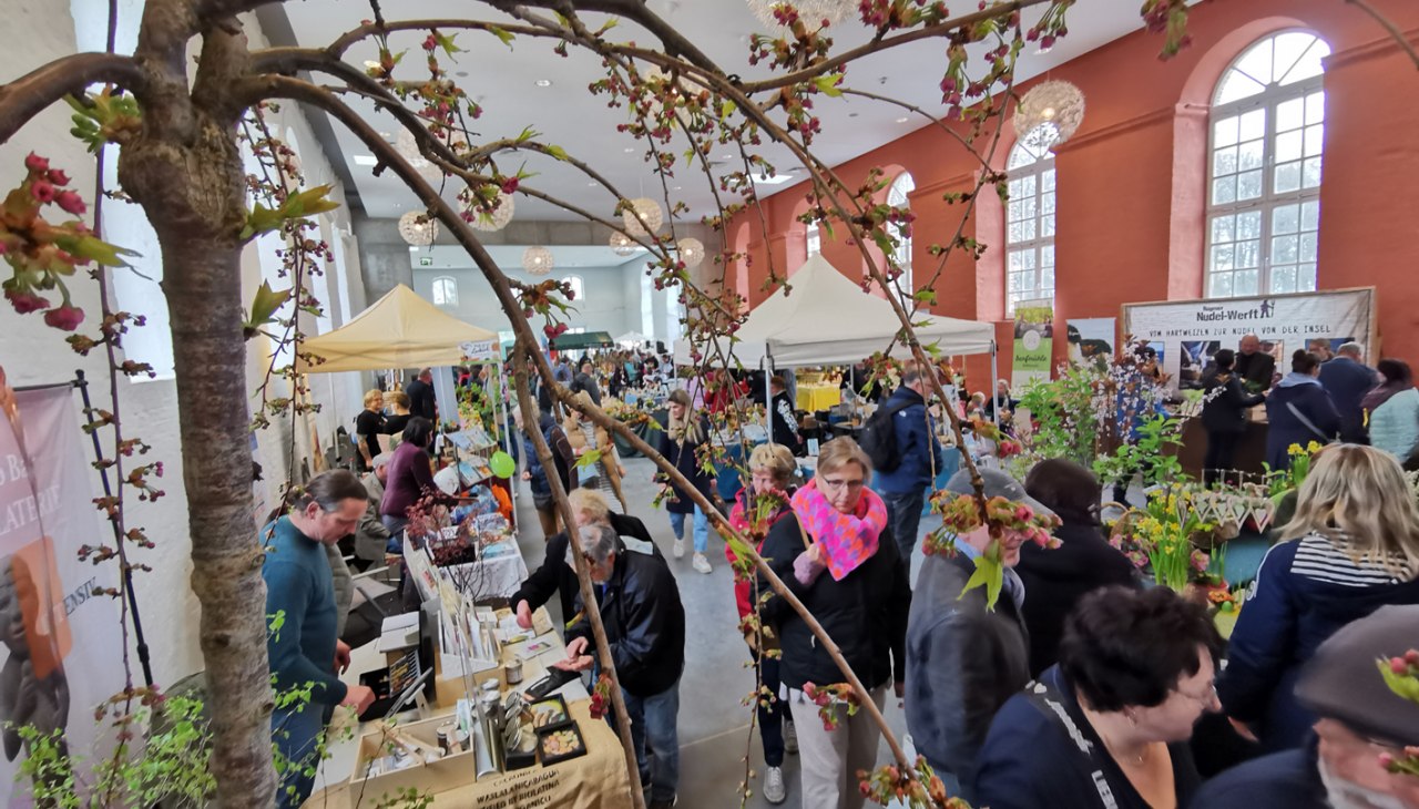 2025 Fair: Wild garlic meets regional products
The organizers R&uuml;gen Produkte Verein e. V. and the
Biosphere Reserve Office Southeast R&uuml;gen present you
together with a large number of exhibitors present the diverse
range of products from the Island of R&uuml;gen., &copy; Biosph&auml;renreservatsamt S&uuml;dost-R&uuml;gen
