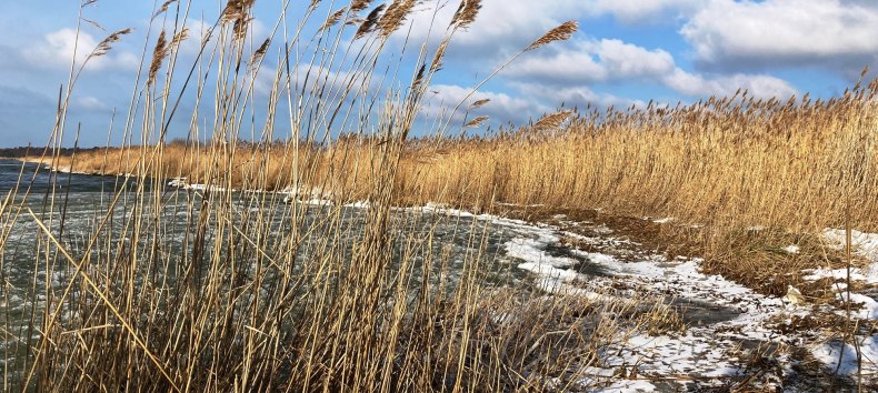 © Nationalparkamt Vorpommern © Nationalparkamt Vorpommern