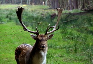 © TDG Rechlin mbH © TDG Rechlin mbH