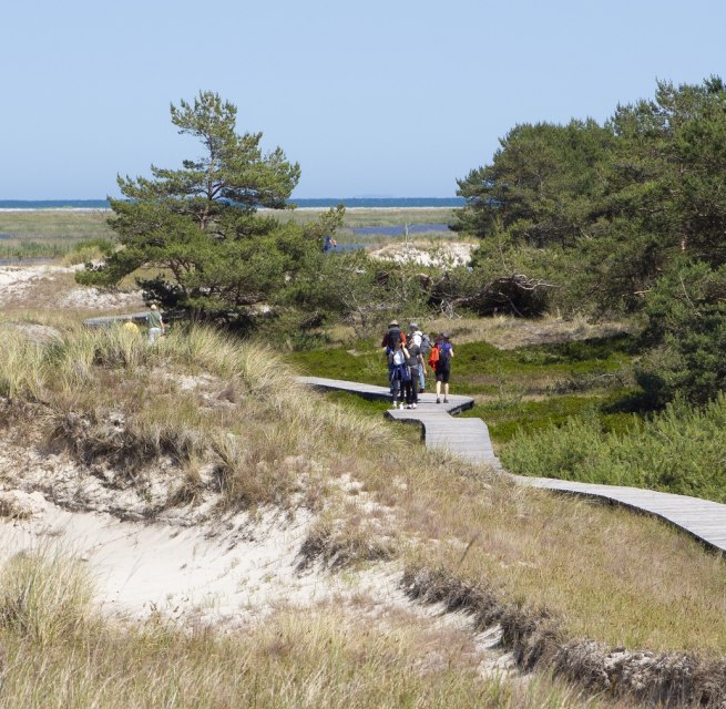 © Nationalparkamt Vorpommern © Nationalparkamt Vorpommern