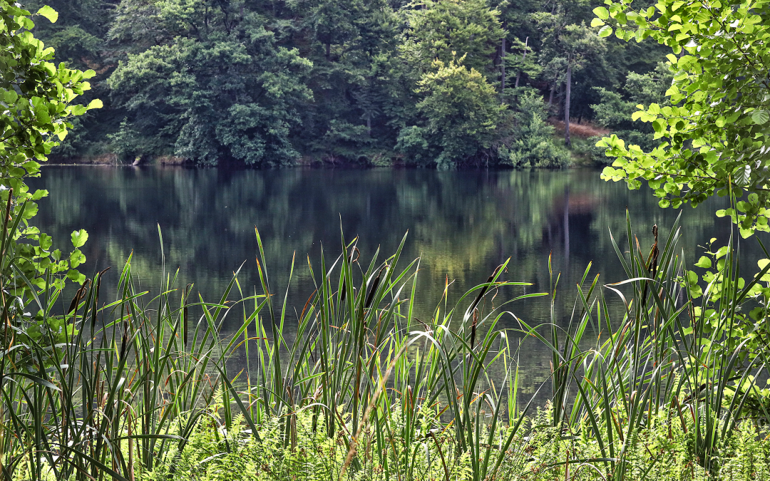 zwart-meer-in-de-granitz_2, © TMV/Gohlke