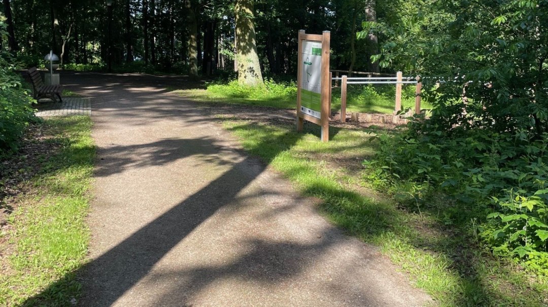 geneeskrachtig bos t.s., © Waren (Müritz) Kur- und Tourismus GmbH