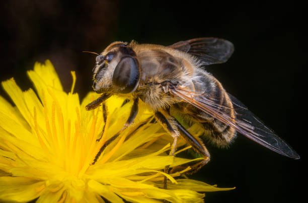 istockphoto-2162189093-612x612, © istockphoto