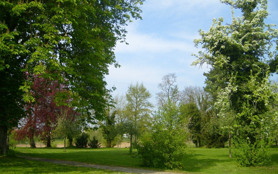 Kasteelpark, © Stadt Dargun