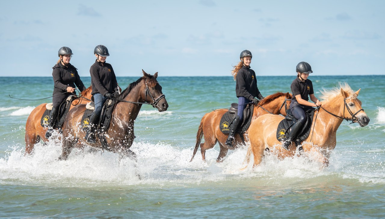 amber_rider_strandritt_1, © bernsteinreiter