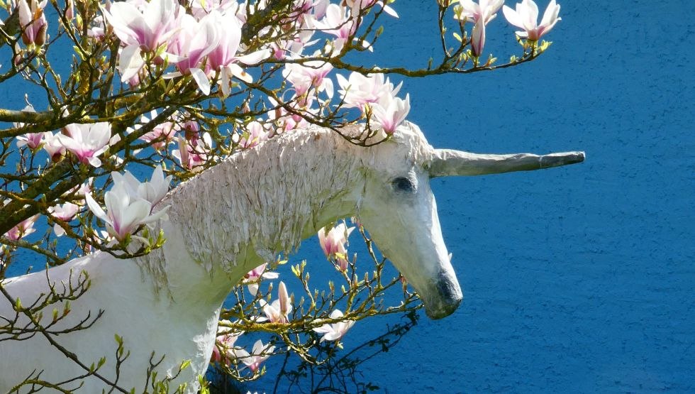 Enjoying spring - The unicorn loves magnolias, © Monika Brunsmann-Hoxbergen