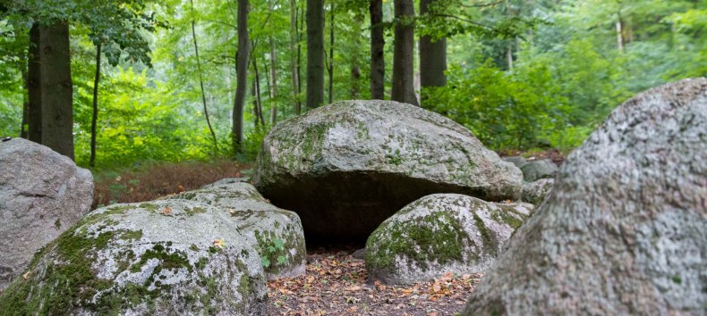 © Kurverwaltung Goehren / Martin Stoever © Kurverwaltung Goehren / Martin Stoever