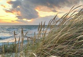 © Nationalparkamt/K.Bärwald