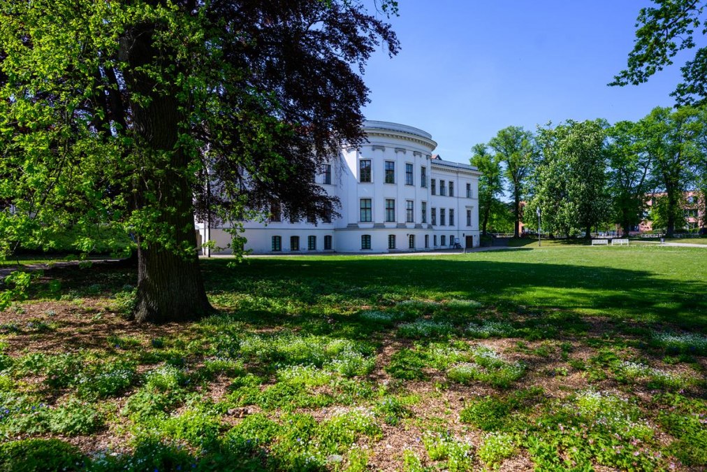 MZ7_3271 (Kopia), © TI