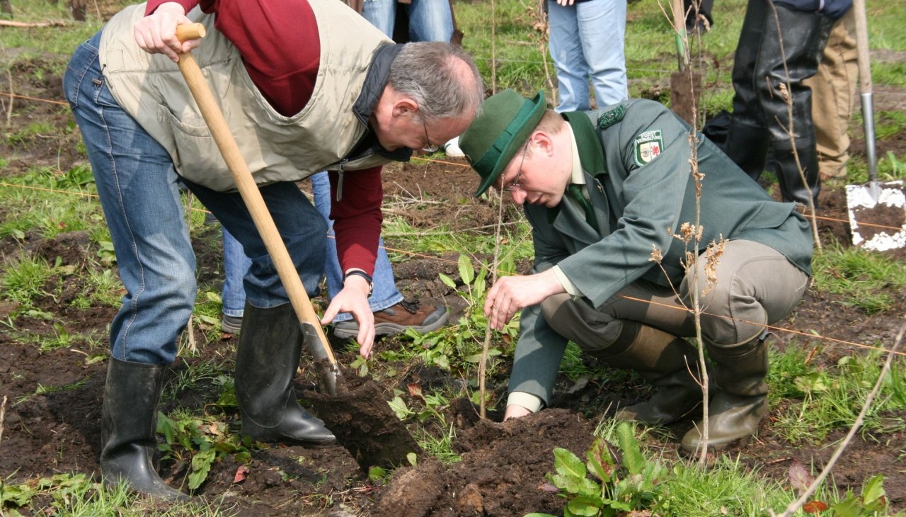 Kampania sadzenia lasu klimatycznego, © TMV