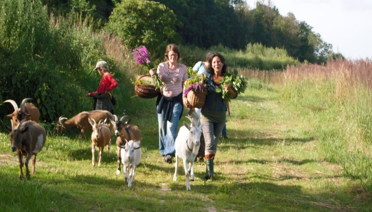 Herb walk with goats, © Kräuterhof Carlsthal