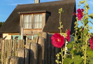 Uitzicht vanuit de tuin // © Franzi Neubauer Uitzicht vanuit de tuin // © Franzi Neubauer