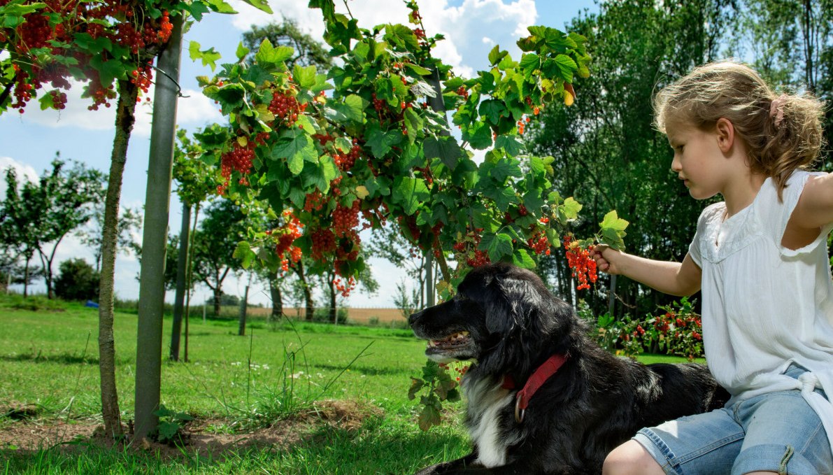 Liczne szlaki turystyczne w MV zapraszają na jesienny spacer, © TMV/Werk3 Liczne szlaki turystyczne w MV zapraszają na jesienny spacer, © TMV/Werk3