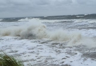 &copy; IMG-20201014-WA0031.jpg