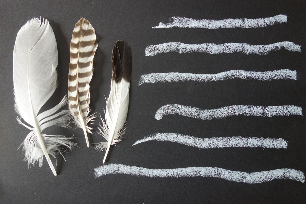 Springs_kvs, &copy; Kristine von Soden