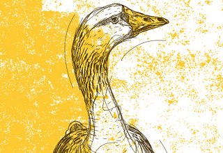 © Strandhotel Ostseeblick © Strandhotel Ostseeblick