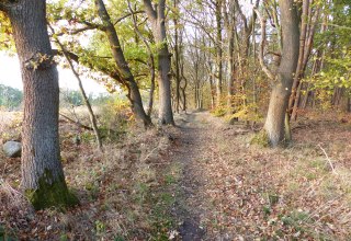 &copy; Naturpark Sternberger Seenland