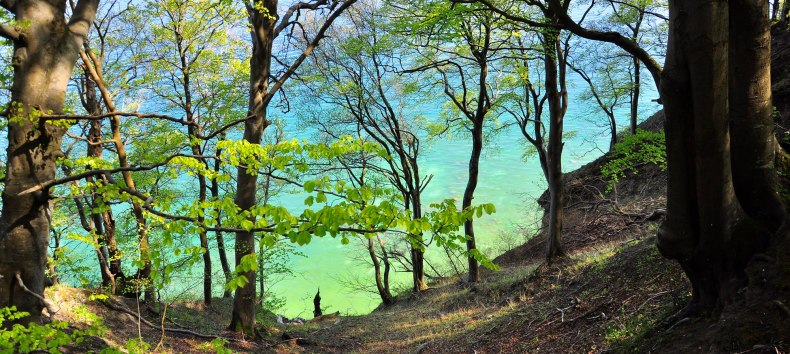 &copy; Nationalparkamt Vorpommern