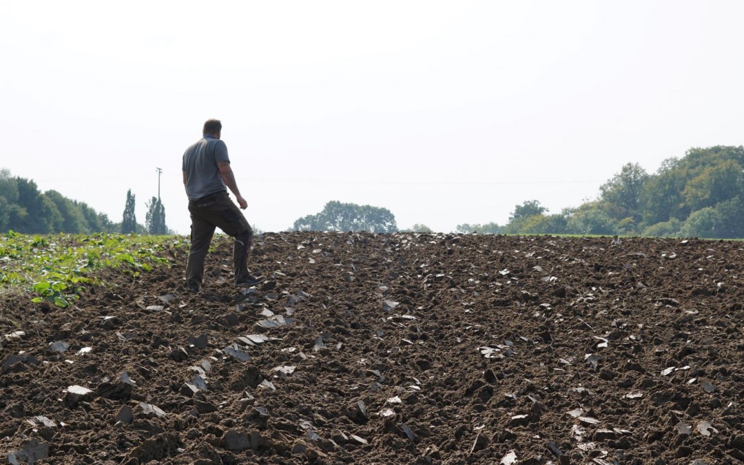 Akkerbouw als onderdeel van de circulaire economie, © A. Rossnagel