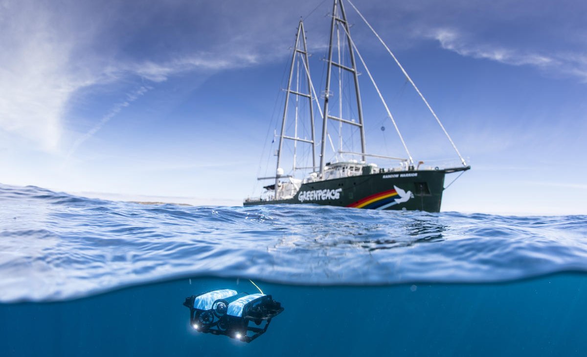 © Richard Robinson/Greenpeace