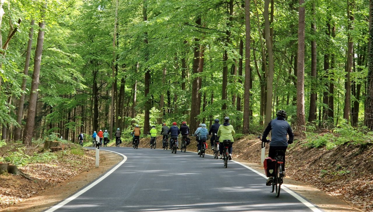 seenplatteguide Gruppe Seewalde (Foto von Robert Behrendt)1920X1080, © Robert Behrendt seenplatteguide Gruppe Seewalde (Foto von Robert Behrendt)1920X1080, © Robert Behrendt