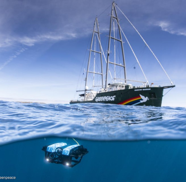 © Richard Robinson/Greenpeace