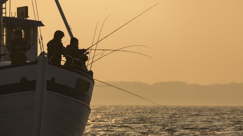 Out goes the cutter - deep sea fishing for cod and flatfish, &copy; TMV/L&auml;ufer
