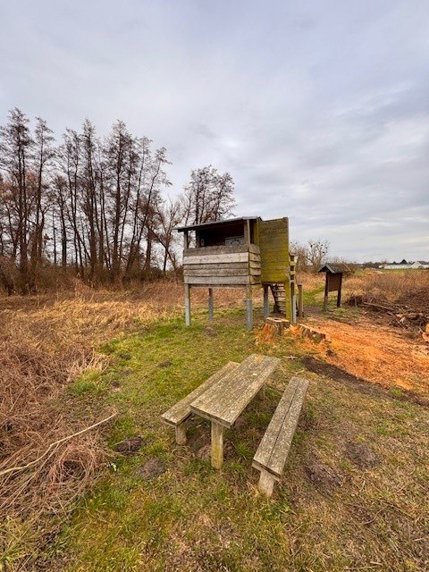 Plattform4, © Staatliches Amt für Landwirtschaft und Umwelt Vorpommern Plattform4, © Staatliches Amt für Landwirtschaft und Umwelt Vorpommern