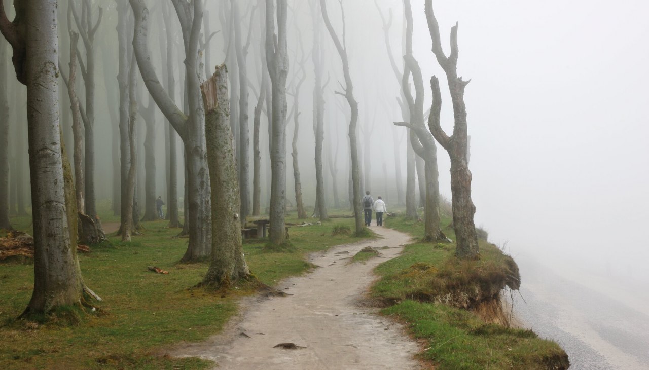 De speciale sfeer geeft het spookbos zijn naam, © TMV/Grundner De speciale sfeer geeft het spookbos zijn naam, © TMV/Grundner