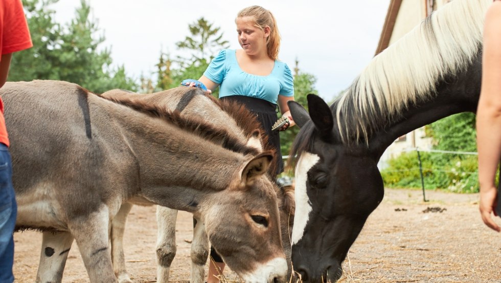 Opieka i utrzymanie zwierząt na farmie, © Jan Ehlers