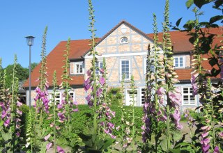 Landgoedpark Alt-Guthendorf // &copy; Gutshof Alt Guthendorf/Topp