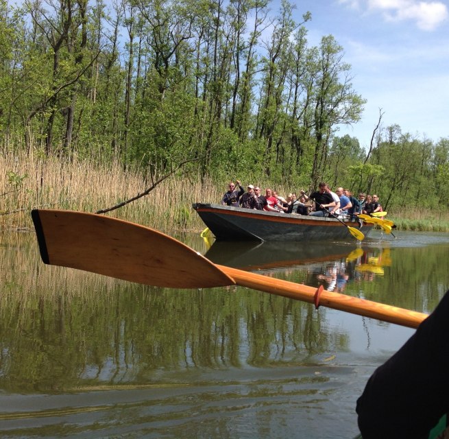 &copy; Dschungelschute