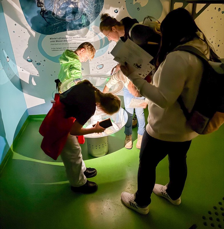 &copy; Nationalaprk-Zentrum K&Ouml;NIGSSTUHL