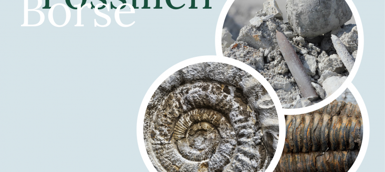 © Kurverwaltung Rerik © Kurverwaltung Rerik