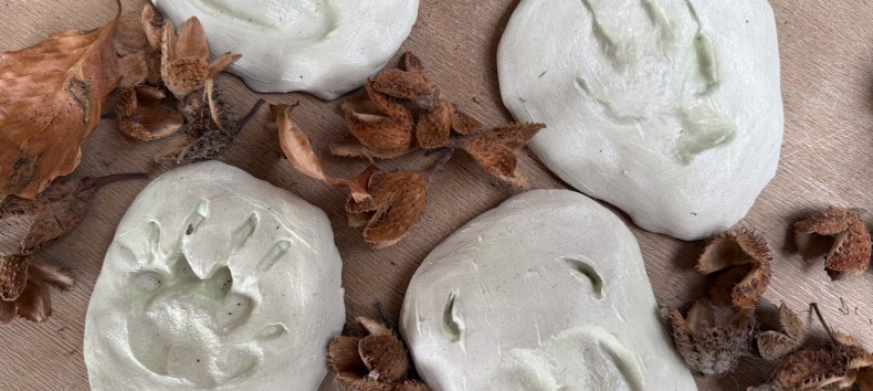 © Nationalpark-Zentrum KÖNIGSSTUHL © Nationalpark-Zentrum KÖNIGSSTUHL