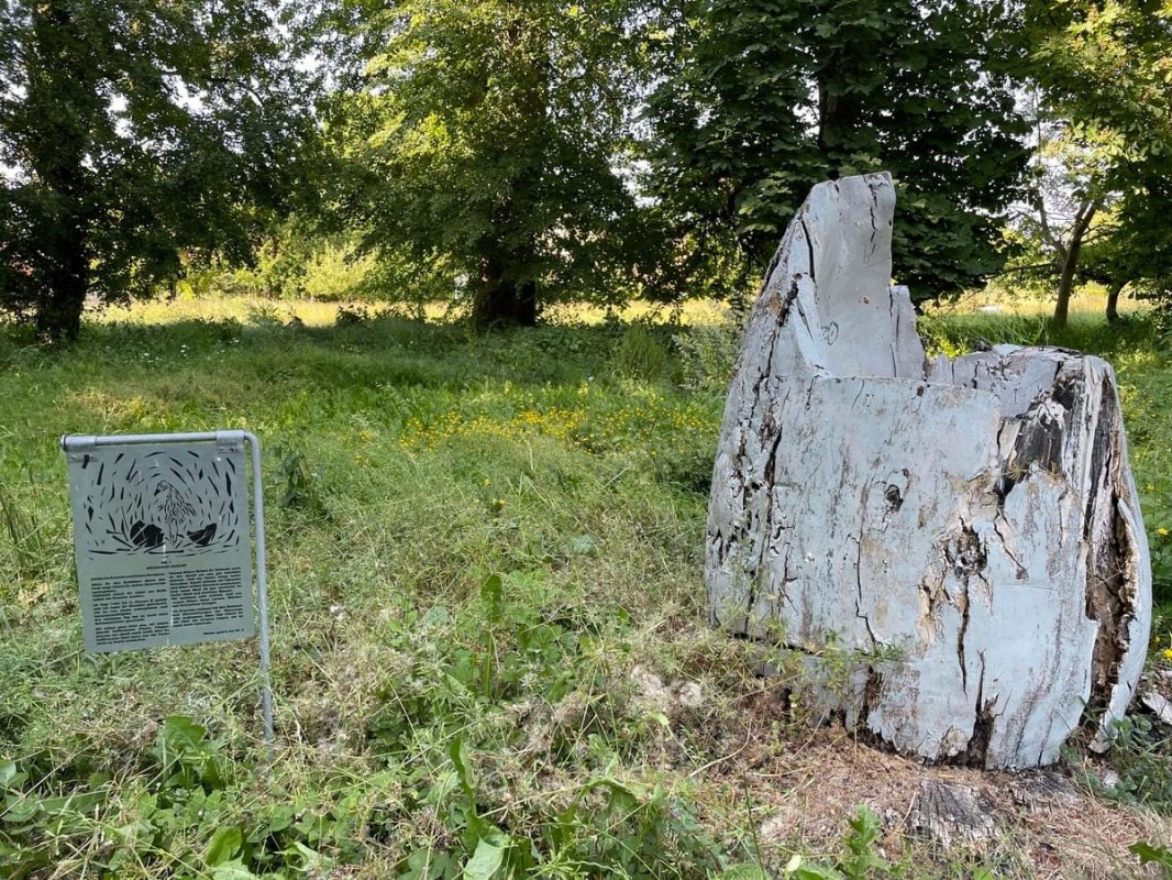 &copy; TZ S&uuml;dliche Boddenk&uuml;ste