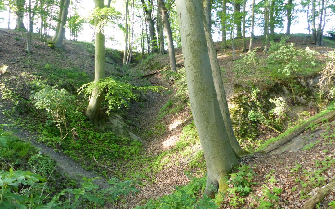 Landscape near Langen Brütz, © Naturpark Sternberger Seenland