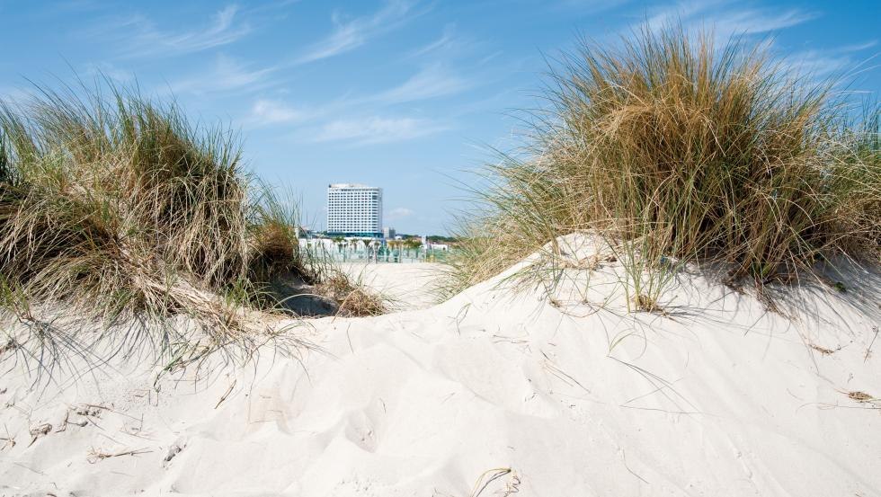 Hotel NEPTUN na plaży w Warnem&uuml;nde // &copy; Hotel NEPTUN