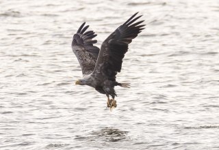 &copy; Mario M&uuml;ller