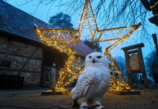 © Hansestadt Stralsund © Hansestadt Stralsund