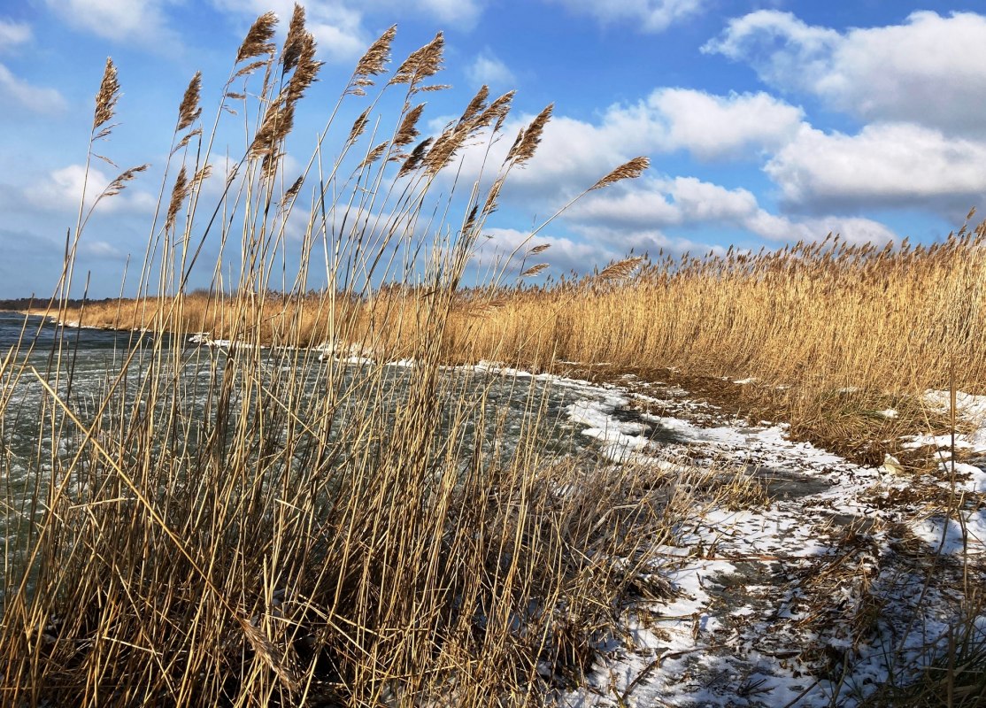 Bodden kust in de winter, &copy; K. B&auml;rwald