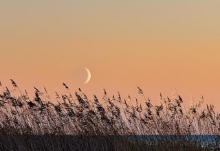 &copy; Kurverwaltung M&ouml;nchgut