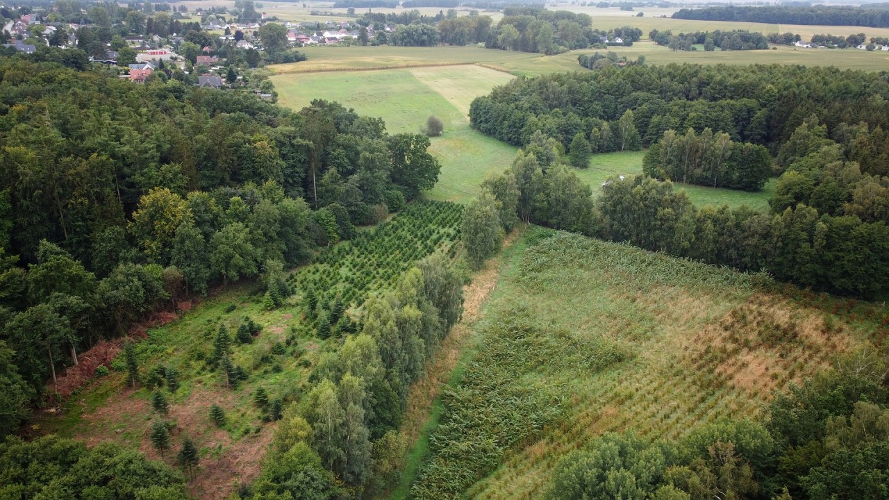 Climate forest Sehlen // © Landesforst MV Climate forest Sehlen // © Landesforst MV