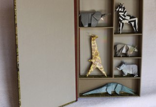 &copy; dorothee stemmrich