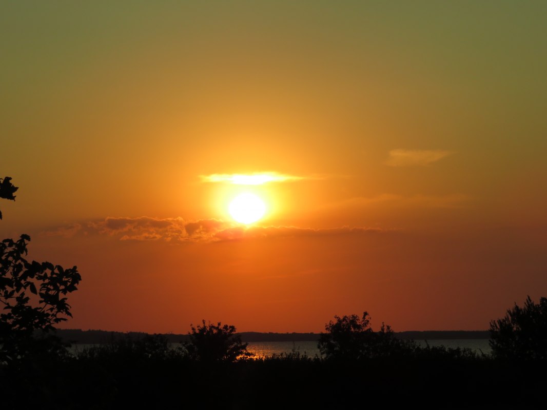 Klassieker - Live muziek - Kiki's bootverhuur, &copy; IMG_1139.JPG