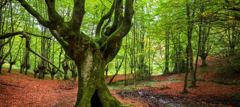 © herraez- stock.adobe.com © herraez- stock.adobe.com